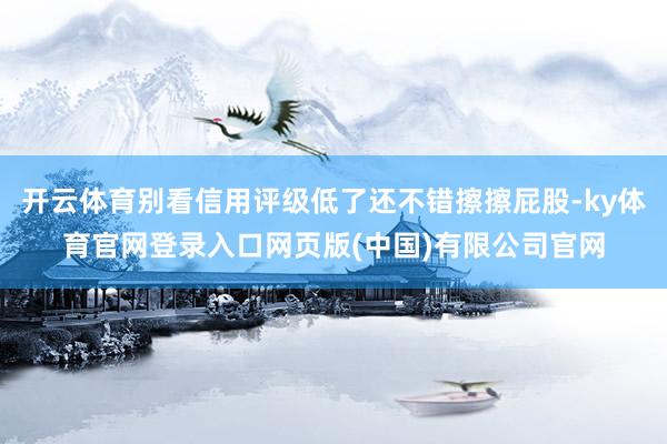 开云体育别看信用评级低了还不错擦擦屁股-ky体育官网登录入口网页版(中国)有限公司官网
