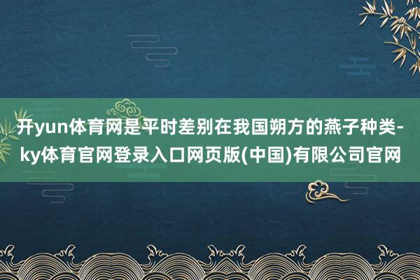 开yun体育网是平时差别在我国朔方的燕子种类-ky体育官网登录入口网页版(中国)有限公司官网
