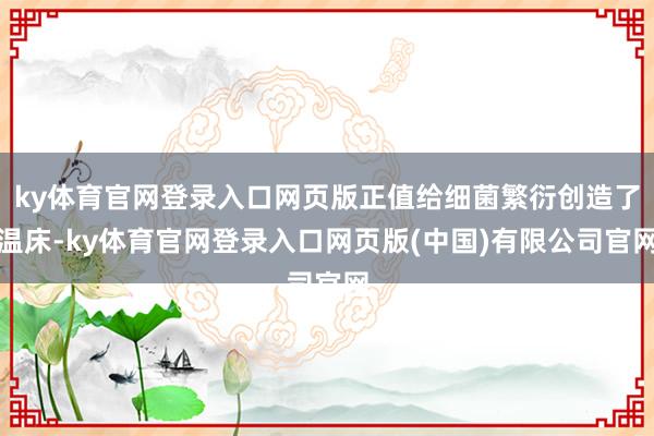 ky体育官网登录入口网页版正值给细菌繁衍创造了温床-ky体育官网登录入口网页版(中国)有限公司官网